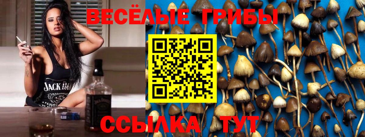 Галлюциногенные грибы мицелий Янаул