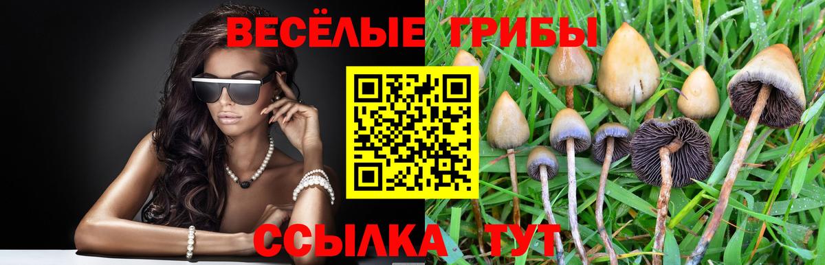 Галлюциногенные грибы Magic Shrooms  Вход с VPN  Галлюциногенные грибы GOLDEN TEACHER  Янаул 